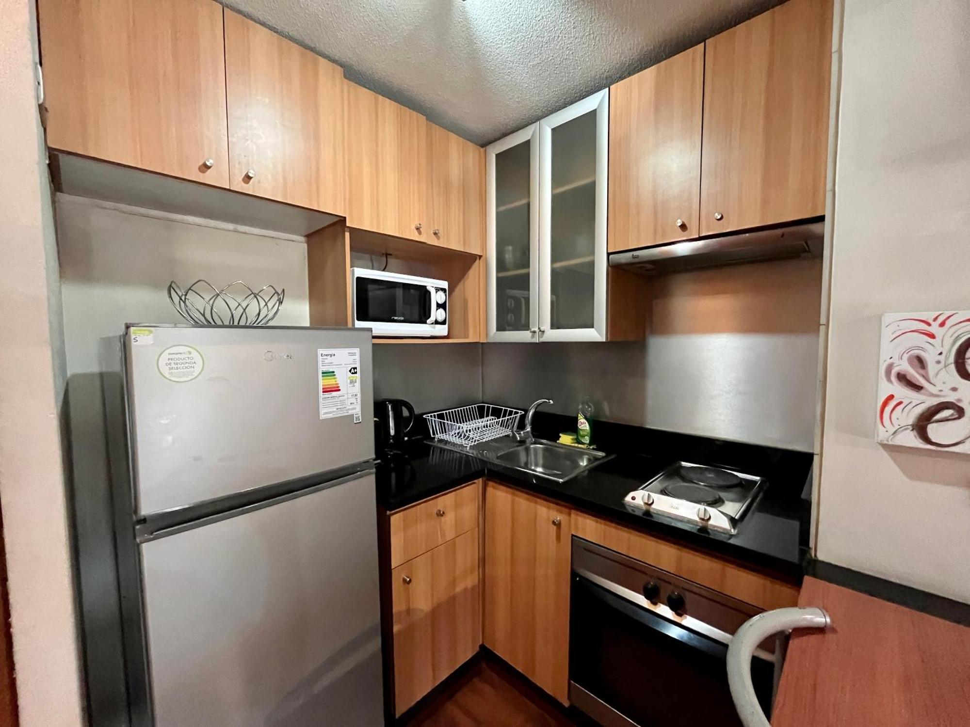 Centro Leones Apartamento Santiago