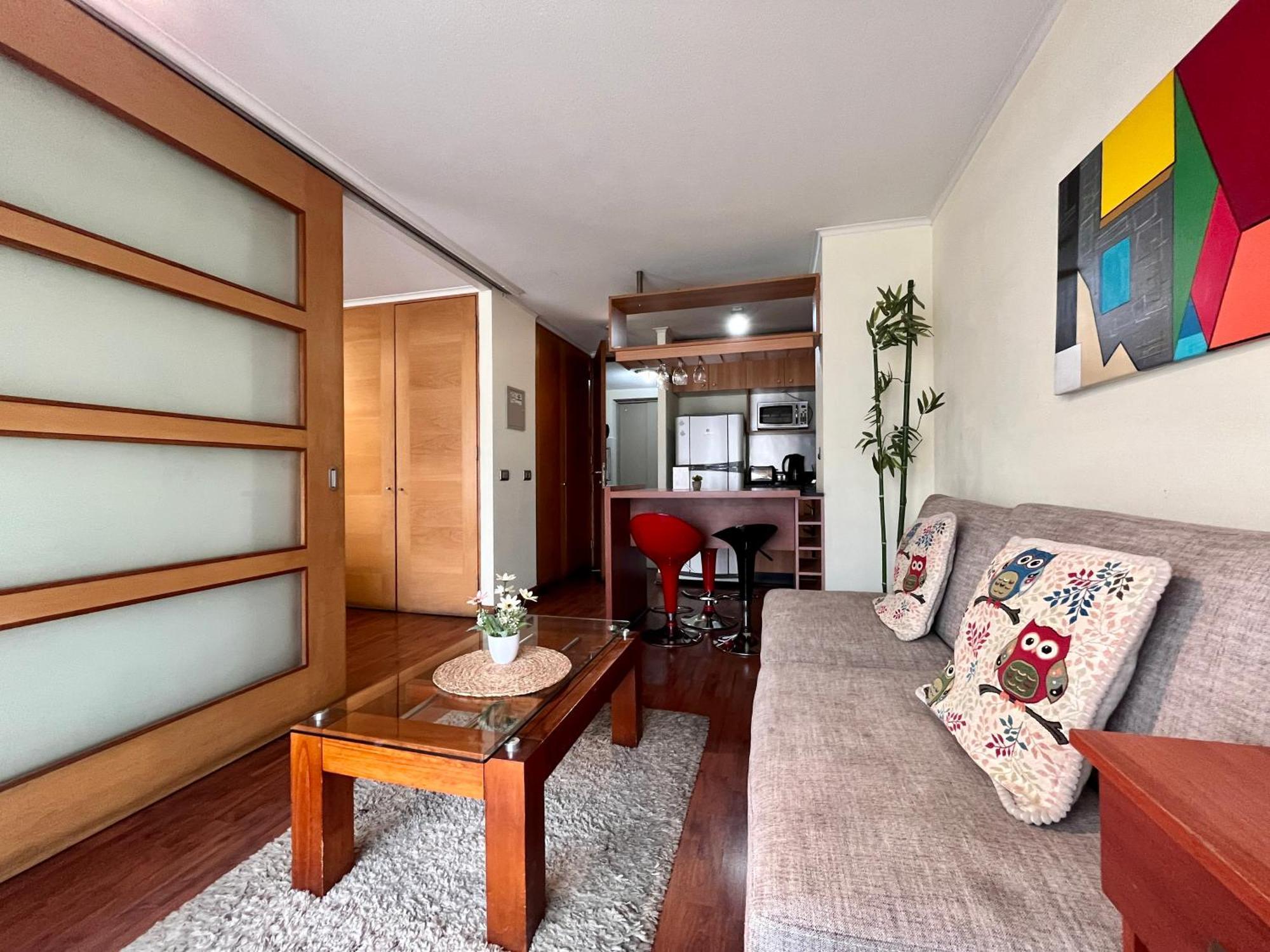 Apartamento Centro Leones Santiago